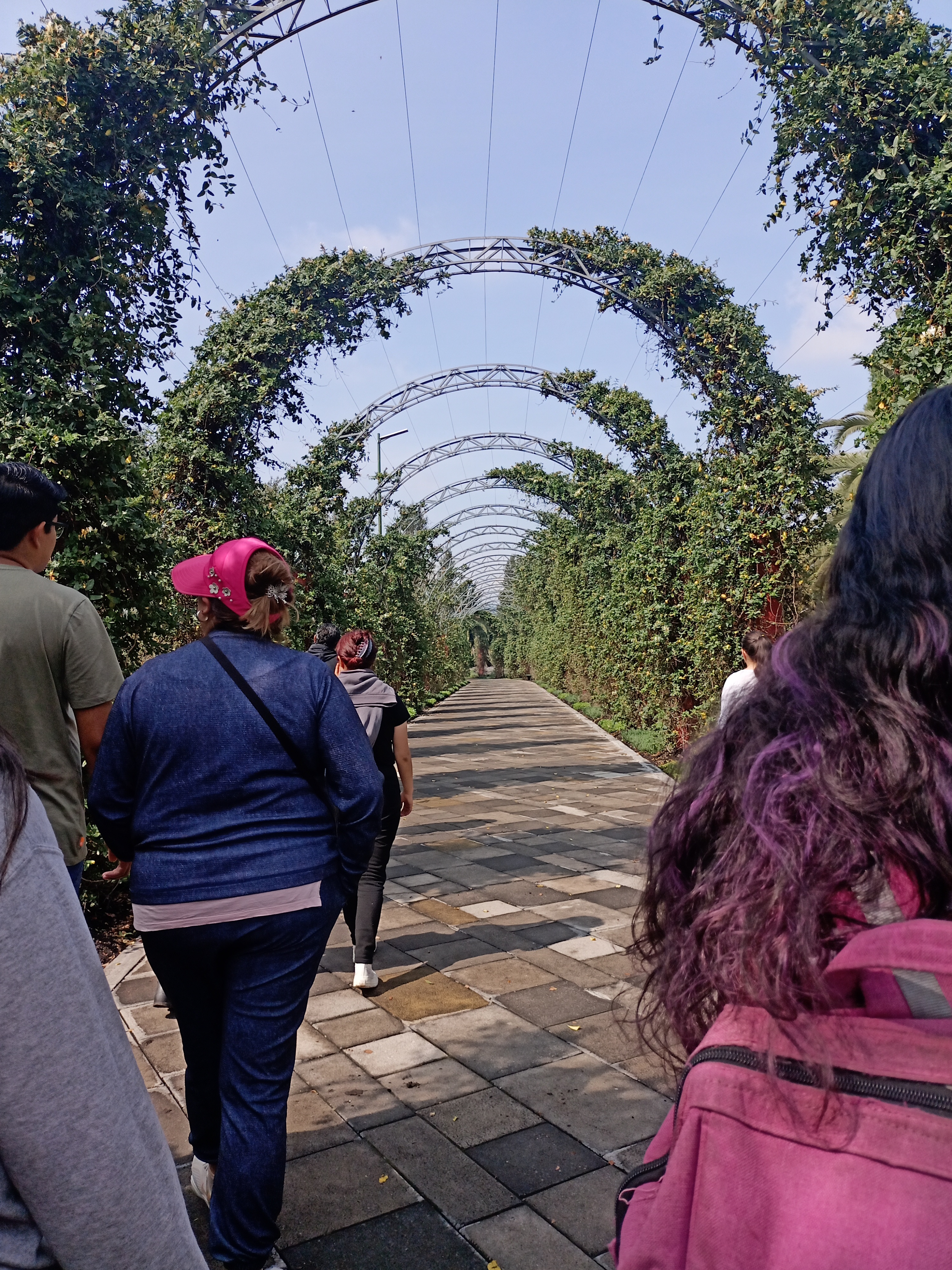 Caminata al parque Ecologico de Xochimilco